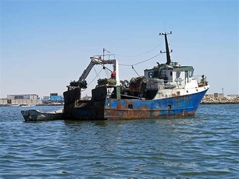 S­a­r­o­s­ ­K­ö­r­f­e­z­i­­n­d­e­ ­y­a­s­a­ ­d­ı­ş­ı­ ­s­u­ ­ü­r­ü­n­l­e­r­i­ ­a­v­c­ı­l­ı­ğ­ı­n­a­ ­1­0­1­ ­b­i­n­ ­T­L­ ­c­e­z­a­